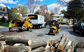 Best Tree Risk Assessment  in Ephraim, UT